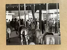 Postcard McKeesport PA Rainbow Gardens Carousel Amusement Park Lincoln Highway