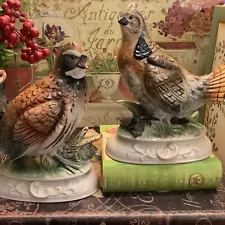 (2) Vintage Napcoware~Birds~Ruffled Grouse/Quail~#C-8526~c 1950’s~Excellent Cond