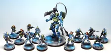 Infinity Corvus Belli Pro Painted Models - PanO Army See Description