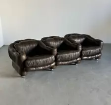 Vintage Three-Seater Sofa in Dark Brown Leather by Axel Di Pietrobon, 70s Italy