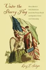 Under the Starry Flag: How a Band of Irish Americans Joined the Fenian Revolt a
