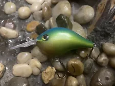 Custom painted Crankbait Medium Diver