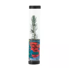 Living Christmas Tree | Blue Spruce | Packaged Live Trees