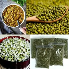 Organic Mung Bean Seeds Pure Natural NON GMO Growing Sprouts Seeds For Planting