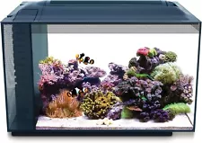 Fluval Evo XII Saltwater Aquarium Kit, 13.5 Gal. – Saltwater Fish Tank with Reef