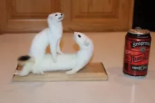 2 New Taxidermy Weasels Mink Ermine Stoat Fur Mount Love Whitetail Deer Pair