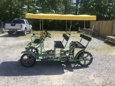 Used 2019 NewTecnoArt Selene Bus Surrey Bike 31 (Green & Yellow w/ Yellow Top)