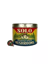 1920's Antique Solo Dried Mushrooms Tin And Bug Killer tin