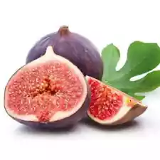 fig tree seeds for sale