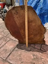 Whole, Large Jarrah Burl