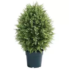 26" Cypress Tree - 26 in Green