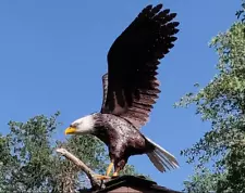 American Bald Eagle Large Outdoor Metal Statue Lawn Sculpture Garden Yard Art