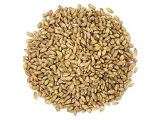 Organic Hulled Barley - Non-GMO, Kosher, Raw, Vegan - by Food To Live