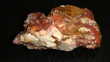 HI GRADE LAGUNA LACE AGATE ROUGH SPECIMEN 1 POUND CHIHUAHUA MEXICO