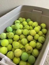 Used Tennis Balls | Sets Of 10 | Good for Dogs, Art Projects | Free Shipping