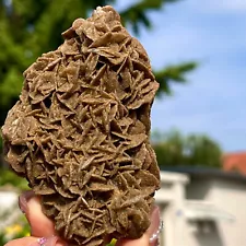 134G Natural Desert Rose Original Mineral Specimen Stone Spirit Restoration