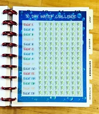 30 Day Water Challenge Two Sided Dashboard for use w/ Classic HAPPY Planner