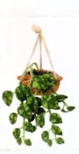 Zuru Mini Brands GARDEN Display Hanging Pothos Plant, Green, Planter NEW