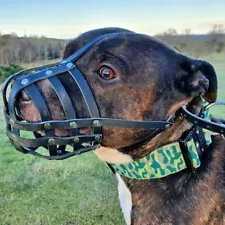 Light Real leather Dog Muzzle for Staffordshire Bull Terrier Staffy , Stafford