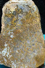 Golden Moss Agate Slab-Swirly Golden Brown Moss!