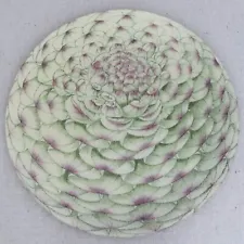 Large John Derian Decoupage Glass Botanical Artichoke Succulent Platter Tray 13½