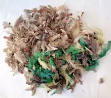 Mixed Bag of Natural & Some Green Feathers for Crafts Various Sizes