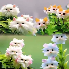 Rare Cat Face Orchid Flower Seeds | 100 Seeds | Home Garden Flower seeds