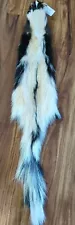 Wild Skunk Fresh Tanned Hide Soft Leather Craft Pelt Fur Nice Lots Of White!