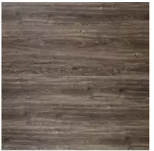 A&A Surfaces Trinity Acton 10 mm x 7 in. Waterproof Laminate Wood Flooring (18 s