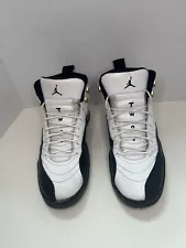 Jordan 12 Retro taxi 2013