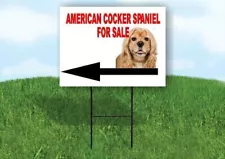 cocker spaniel for sale