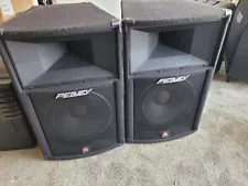 Peavey SP2X Speaker