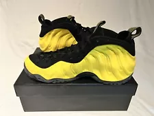 Size 11 - Nike Air Foamposite One wu-tang 2016