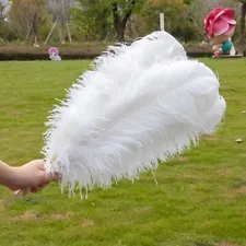 White Ostrich Feathers for Wedding Party Decoration Craft Plumes