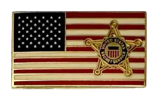 UNITED STATES FLAG LAPEL PIN: Secret Service