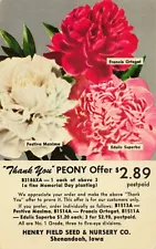 Henry Field Nursery Shenandoah Iowa Flower Peony Sale Ad Vintage Postcard