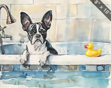 Boston Terrier with a rubber duck in the bathtub waterco 8x10 Print