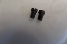 SPRINGFIELD TRAPDOOR 45/70 REAR SIGHT SCREWS