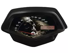 Honda Fury Faceplate Skull Buried for Speedometer NO ABS (For: 2017 Honda Fury)