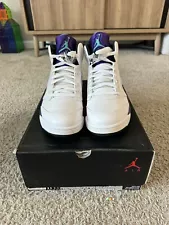 Size 11 - Jordan 5 Retro Grape 2013