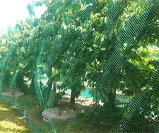 Garden Mesh Netting Protect Fruits Trees Seedlings Plants from Birds, Squirrels