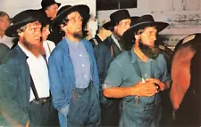 Bearded Amish Gentlemen attending Horse Auction at New Holland Sale - Postcard