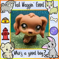 Littlest Pet Shop LPS Authentic # 716 Cocker Spaniel Dog Tan w/ Snowflake Eyes