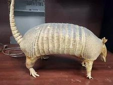 Stuffed Real Armadillo