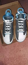 Size 10.5 - Air Jordan Dub Zero Wolf Grey/UNC Blue