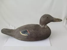 Pintail DUCK Decoy has Glass Eyes is Hand Carved Ocean Bird, Vintage Decoy