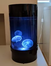 2 Gallon Desktop Nano Jellyfish Tank with Supplies