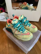 Nike Lebron 12 (XII) Low Premium Lebronald Palmer Size 9.5 Great Condition