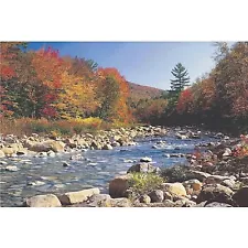 AUTUMN BROOK - SCENIC POSTER 24x36 - NATURE LANDSCAPE 3764