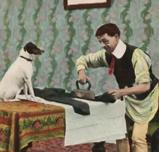 Jack Russell Terrier Dog Man Pressing Suit Vintage Postcard